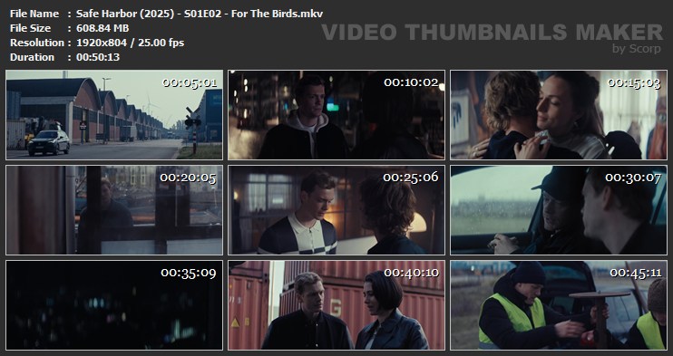 Safe Harbor (2025) - S01E02 - For The Birds.mkv