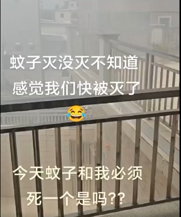 https://i.postimg.cc/JhwyZBMT/imige-7.jpg