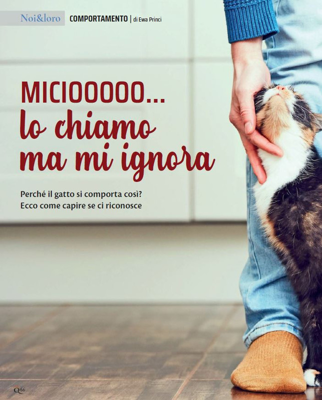 QuattroZampe Set 2022 (7)