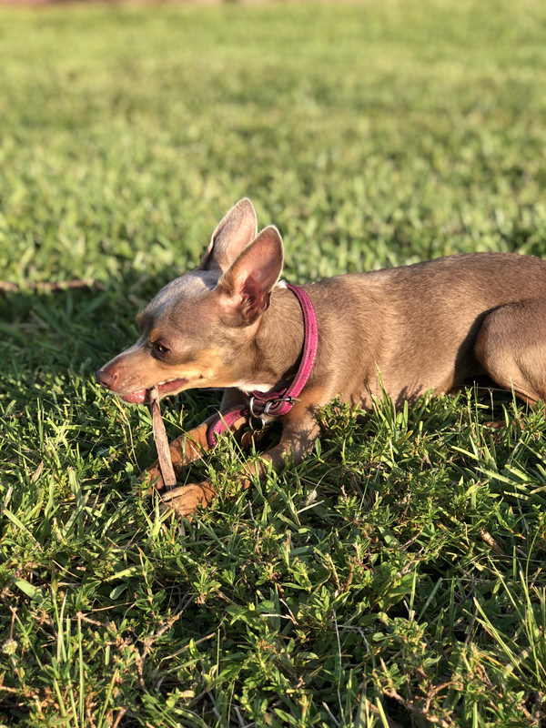 A6CDE1BA-6397-4D43-A1FD-4400C9D22E5C