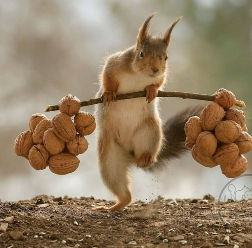 Screenshot_20230131_011645_Chrome