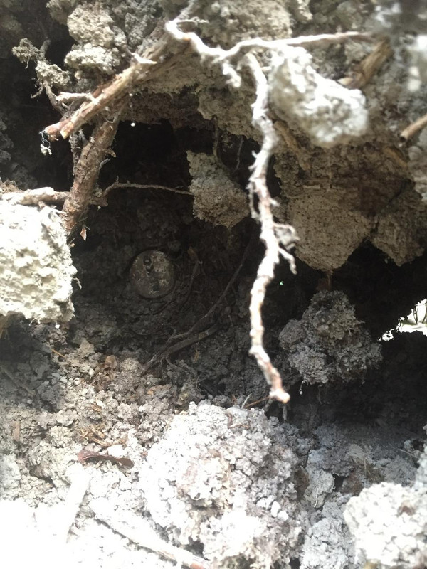 1A20F901-A98B-4EF3-8524-6B9729A12931