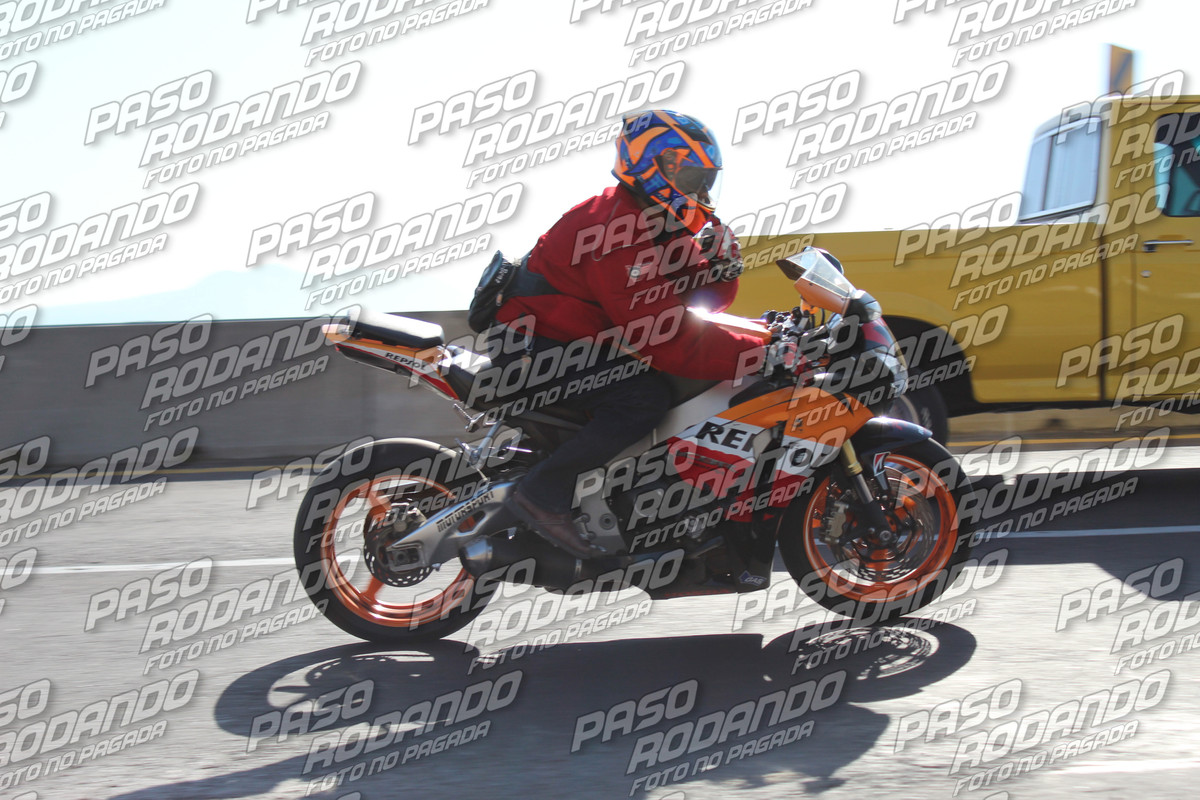 IMG 7297 wm 135524 40000000002 watermarked — Postimages