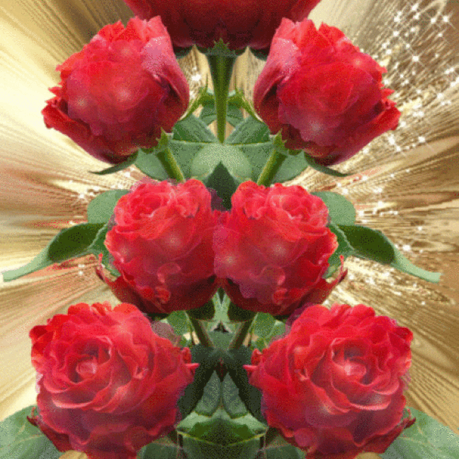 An den Beitrag angehängtes Bild: https://i.postimg.cc/JhxhqBm3/oie-1674013q3-X1x-N3-E.gif