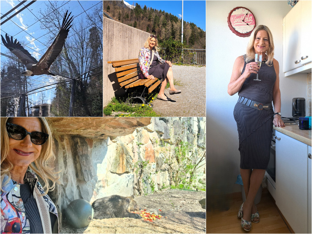 Externes Bild, es gelten die Datenschutz- und Nutzungsbestimmungen der ausgewählten Seite.