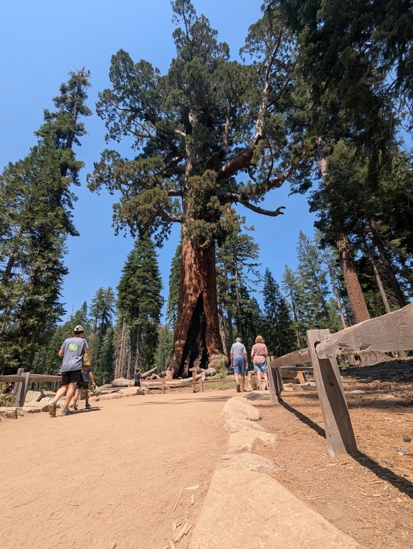 PXL_20250714_214950395