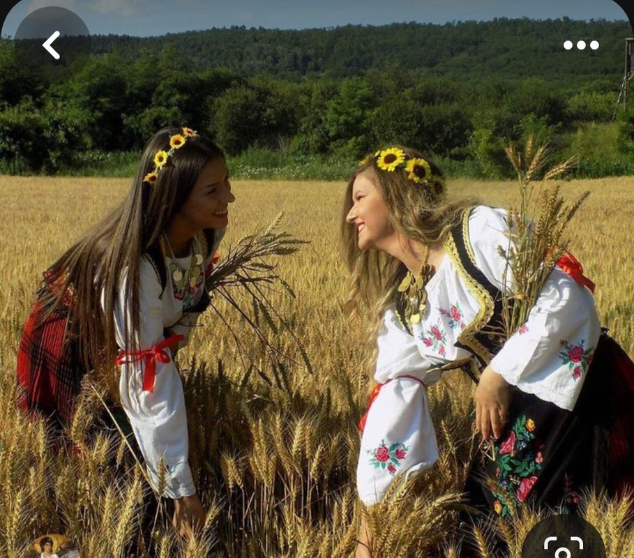 Screenshot_20231119_095034_Pinterest