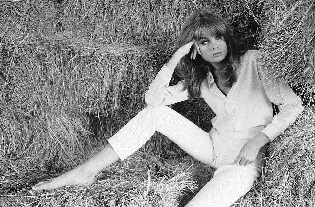 jean_shrimpton_md93