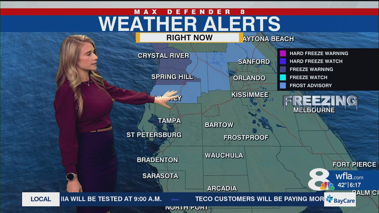 NewsChannel 8 Today at 6a_20241204_11001200.ts_snapshot_18.05.520