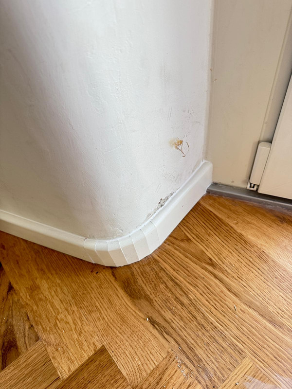 Whats App Image 2026 01 21 at 12 01 43