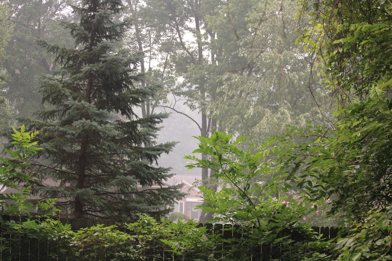 IMG-5925.jpg
