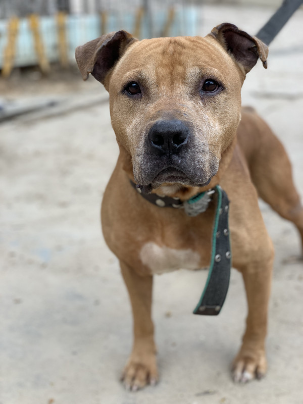 DAC367DA-5737-4F26-9829-5E6DD22F79B8