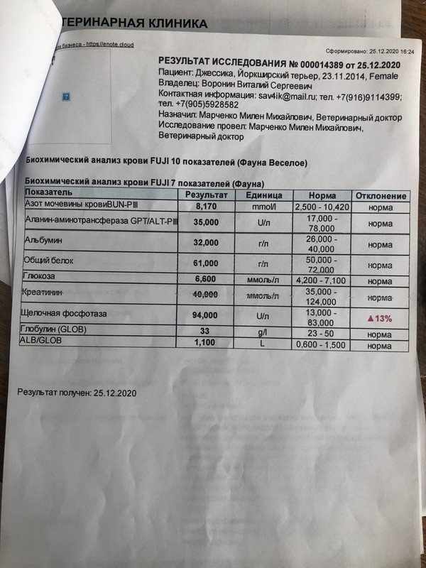 анализы 2 от 30.12. 2020 IMG_2650