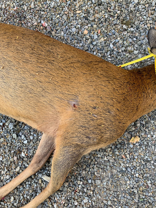 B53ADA8E-0DD9-4A84-A8B3-9D77B5F0DBC5