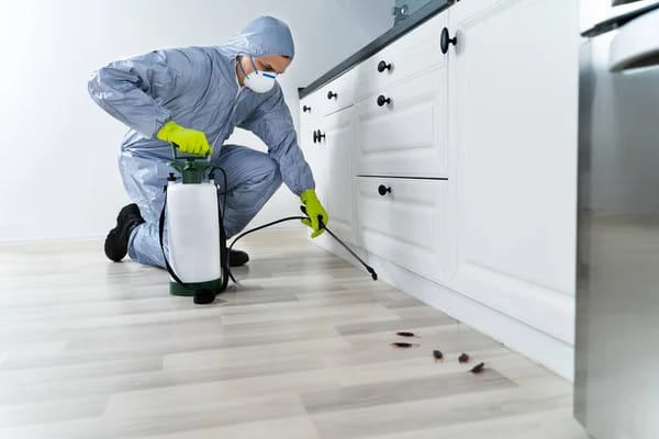 Interior pest treatment and prevention work in a Baltimore home