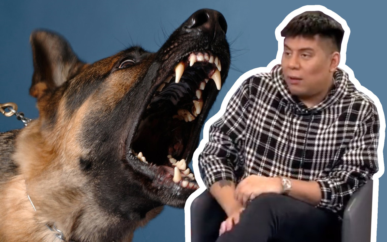 Joven dejó de ser vegano porque un perro le mordió, “de ahí me fui a Mc Donalds”