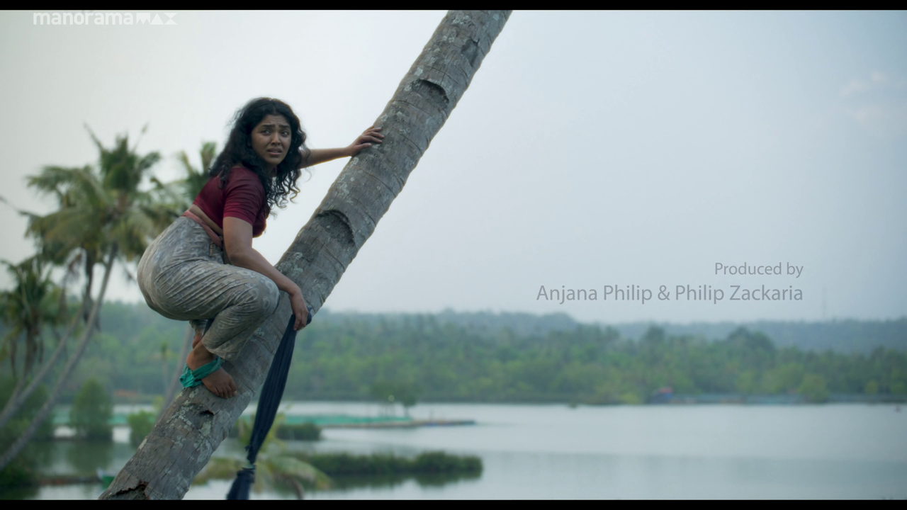 vlcsnap 2026 02 25 12h48m09s100