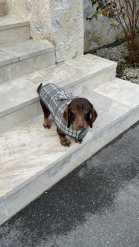 [Image: IMG-3322-1.jpg]