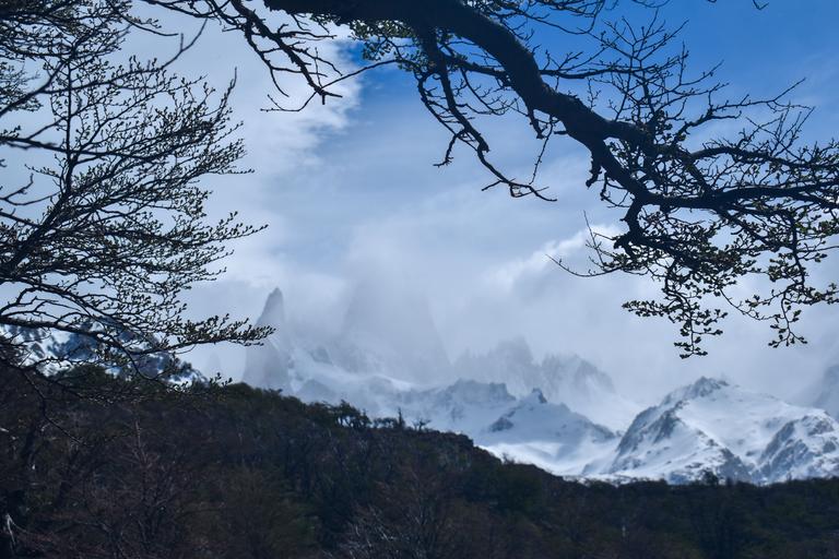 В джазе только девушки или аргентинско-бразильский калейдоскоп В джазе только девушки или аргентинско-бразильский калейдоскоп
