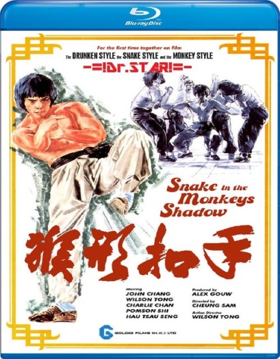 Snake in Monkey’s Shadow (1979) Hindi ORG Dual Audio Movie BluRay | 720p | 480p