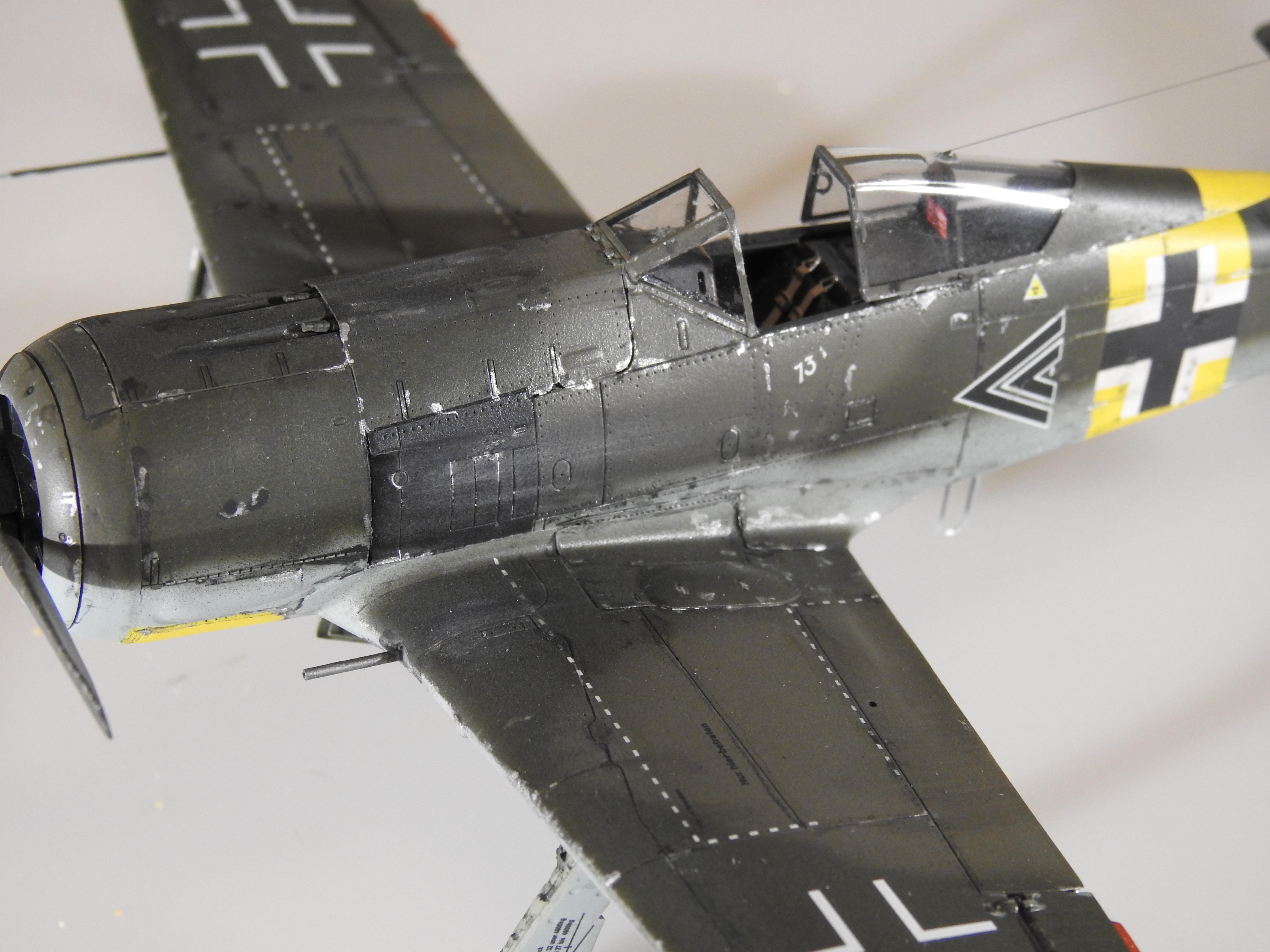 Fw 190A-5, Eduard 1/48 – klar DSCN7536