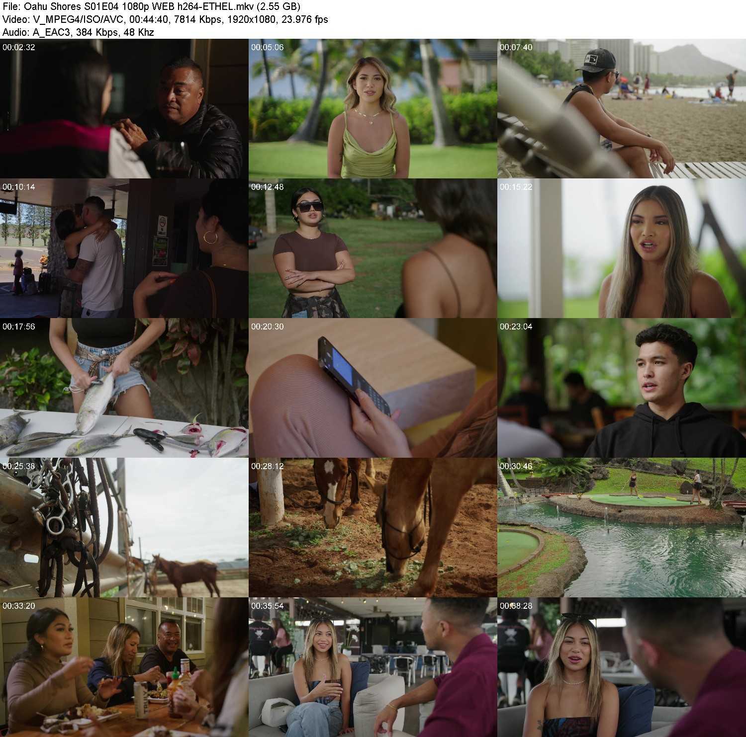 [Image: t3cli609ntjl.jpg]