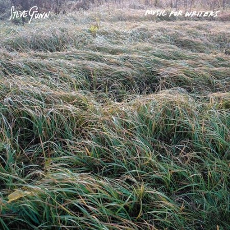 Steve Gunn - Music For Writers (2025)