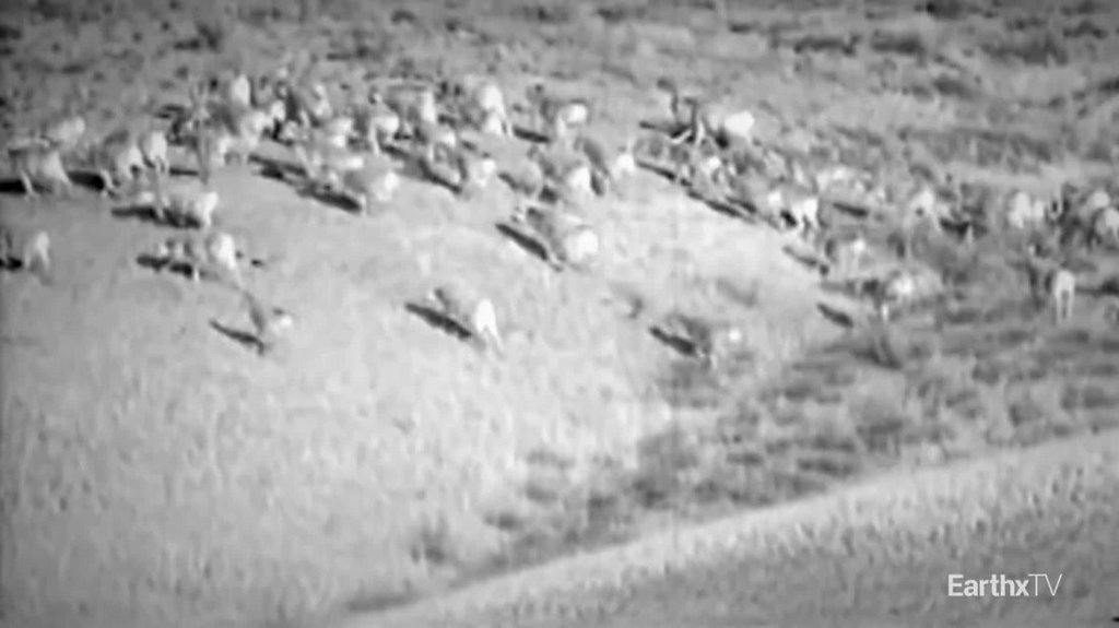 [Image: i78k1zomg0df.jpg]