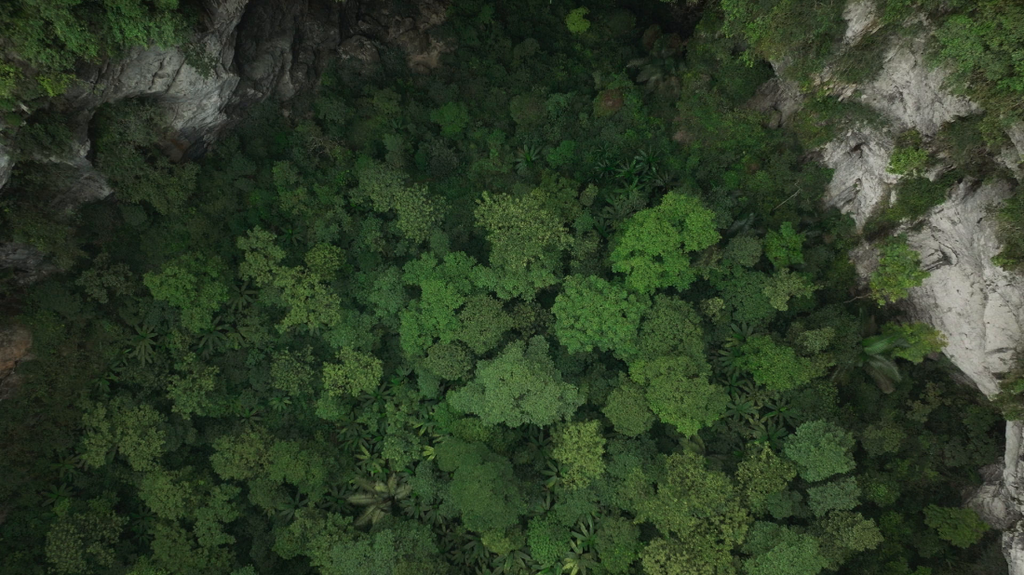 [Image: yu7fyug2yl22.png]