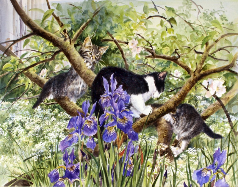 KITTENS-IN-AN-APPLE-TREE-1-c24857-1