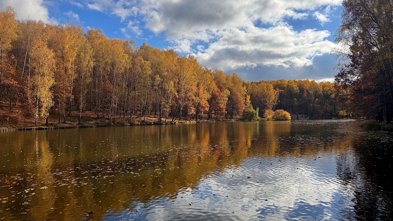 Городской и сельский пейзаж