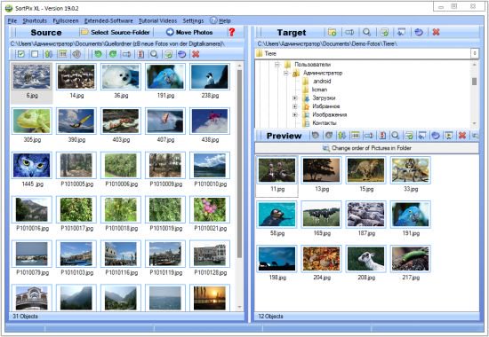 IN MEDIA KG SortPix XL 19.0.4