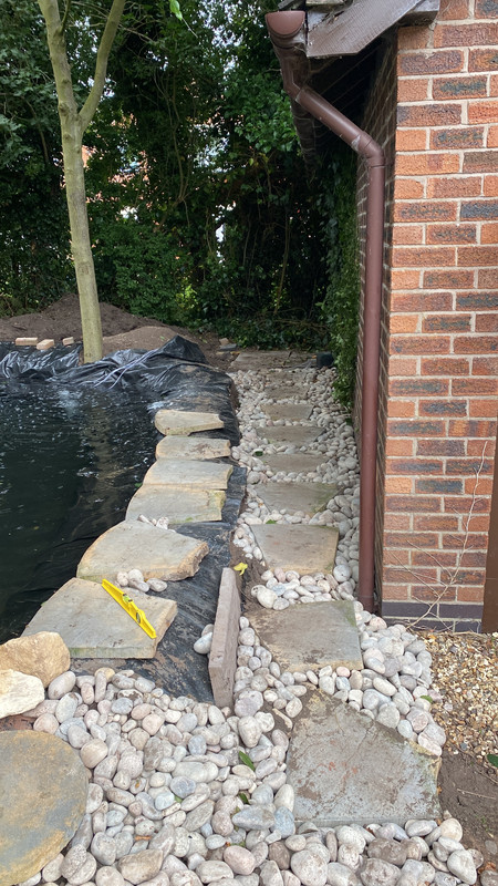 E1D6655A-46DB-4787-91CE-4616946E7661