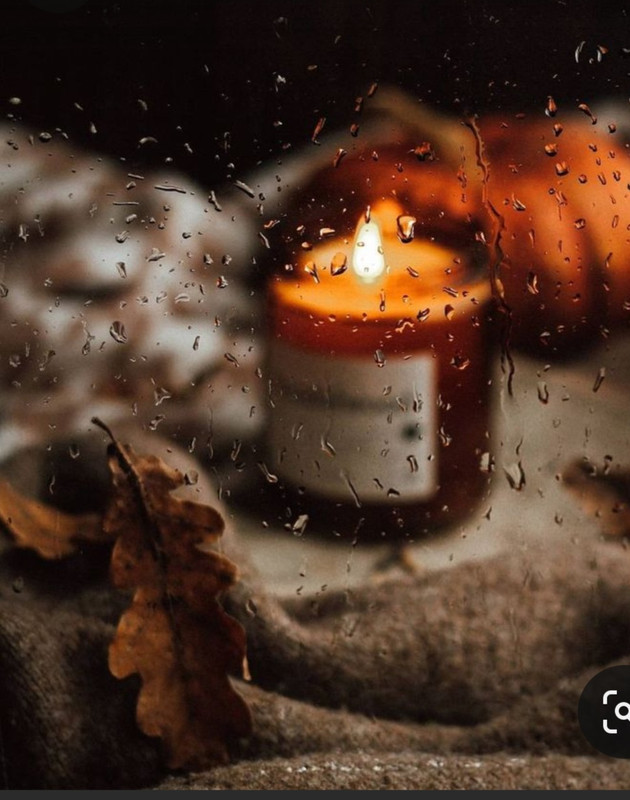 Screenshot_20231117_204058_Pinterest