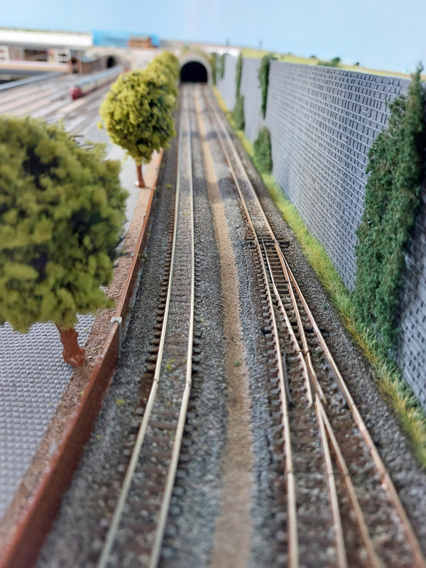 2023-03-06 (2)