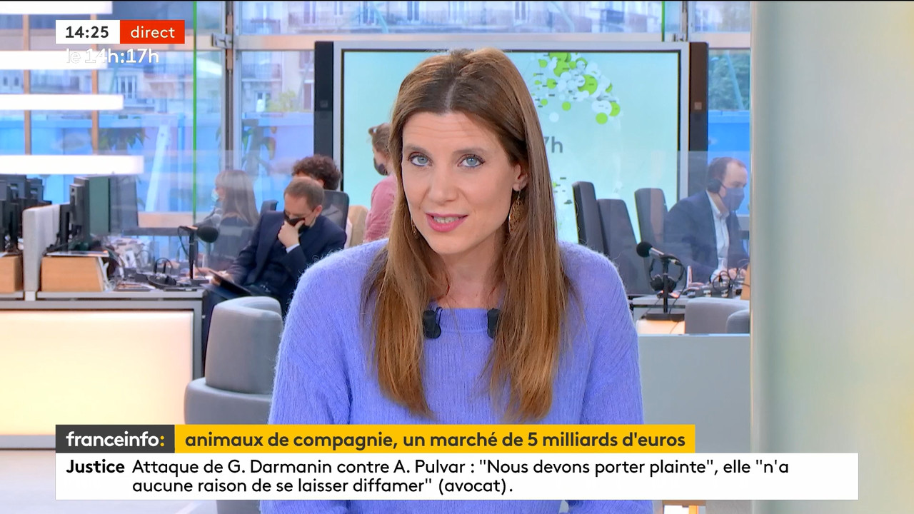 05.24 - 12.59.00 - Le 14h-17h. Au sommaire   Vrai ou fake. - francein....ts_snapshot_30.20.359