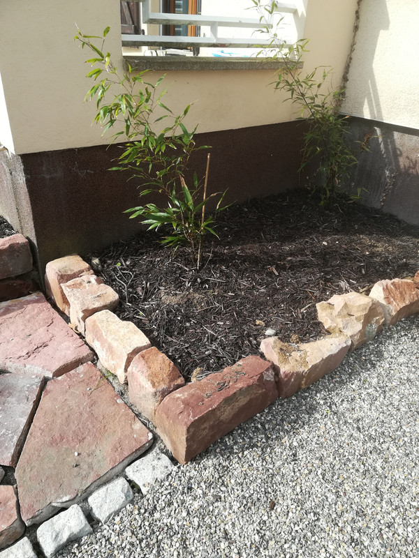 IMG_20190502_093444 (1)