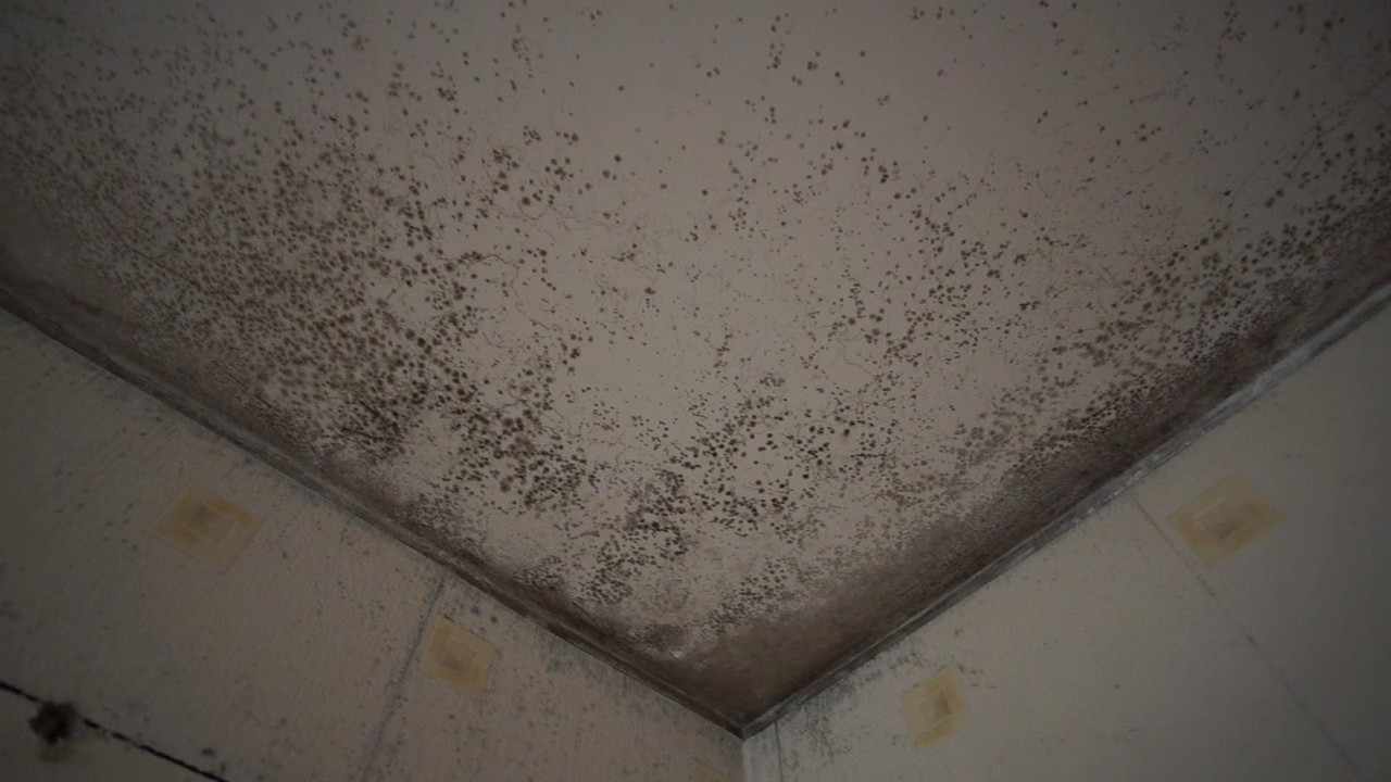 vlcsnap-2022-06-13-18h28m21s746