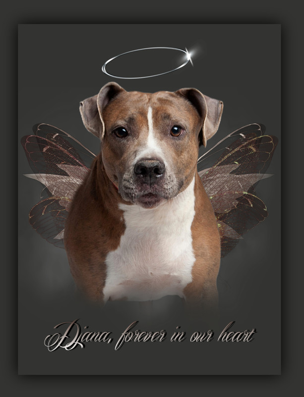 Picsart_23-08-15_17-01-11-347_1 (3)