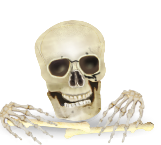 Skull-and-Bones.png