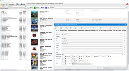 3delite MP4 Video and Audio Tag Editor 1.0.145.240