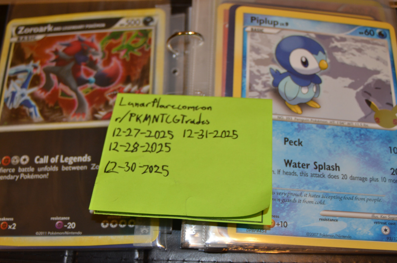 oversized binder (12)