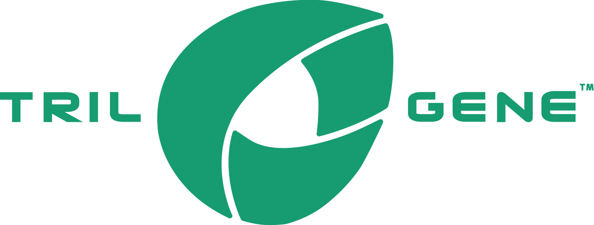 Seed Company Logo