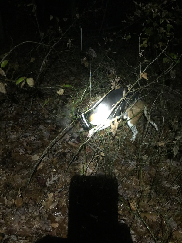 3C7425FB-E2F9-4C49-AF20-3A076E3DB2E0