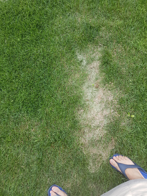 20190730_184210