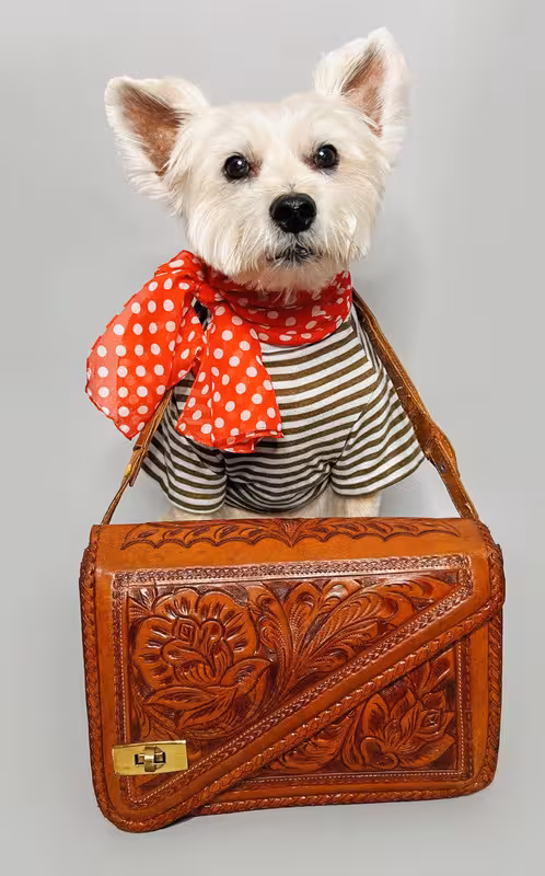 bag-leather-doggie.avif