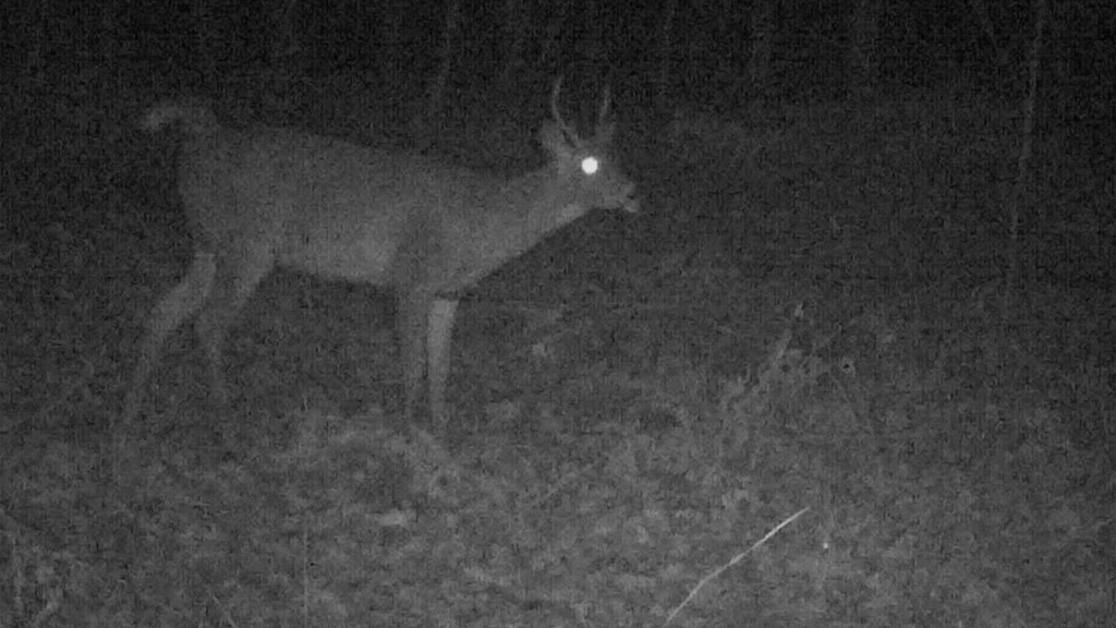 8AA9465A-4248-4A9D-8989-3820FC34F669