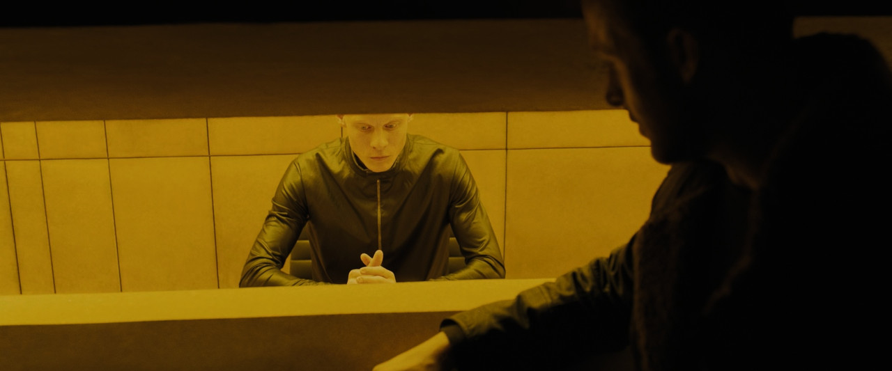 Blade Runner 2049 (2017).mkv_snapshot_00.30.06_[2018.01.23_00.13