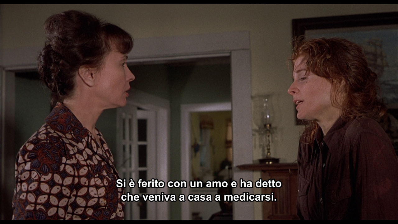 vlcsnap-2022-07-17-14h27m09s095