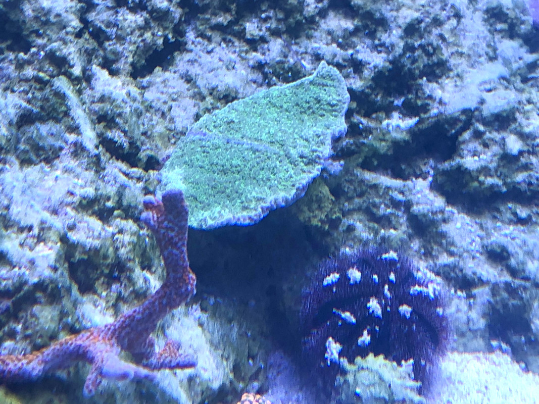 FD531CA6-1E73-4133-8DFA-1C0930CFF9F9